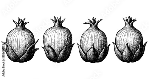 (Adobe Illustrator Artwork)