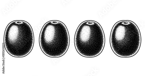 Four hand-drawn black olives in vintage style