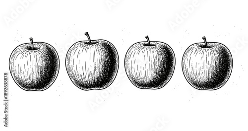 Hand-drawn apples in black and white: vintage fruit sketch series