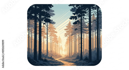Serene forest landscape with tall trees and sun rays at sunrise or sunset on a winding path