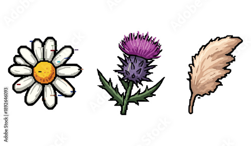 Daisy, thistle, and feather illustration on white background