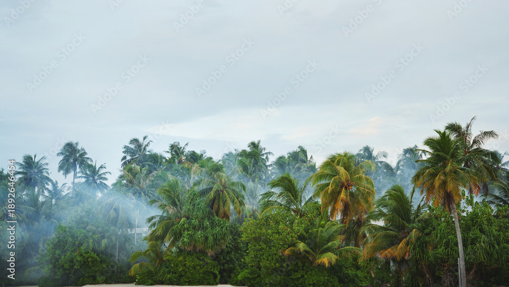 Obraz premium Palm trees and smoke - pest control in tropics. Beautiful maldives tropical island
