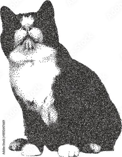 Cat vintage y2k stipple art, feline halftone stipple brutalist retro vector png with transparent background, whiskers 2000s aesthetic photocopy effect tattoo