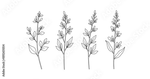 (Adobe Illustrator Artwork)