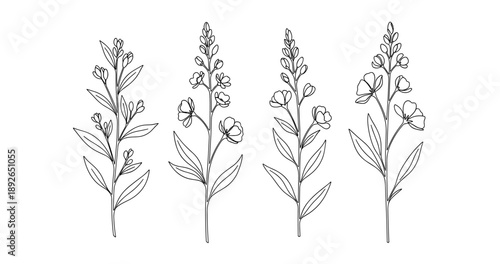 (Adobe Illustrator Artwork)