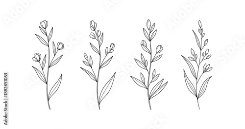 (Adobe Illustrator Artwork)