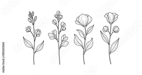 (Adobe Illustrator Artwork)