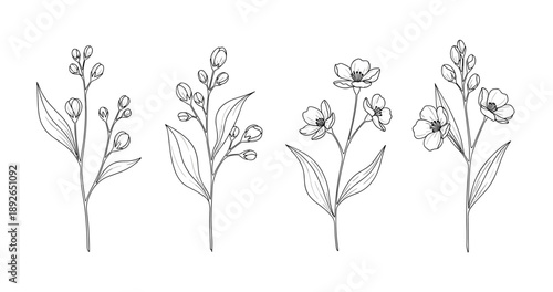 (Adobe Illustrator Artwork)