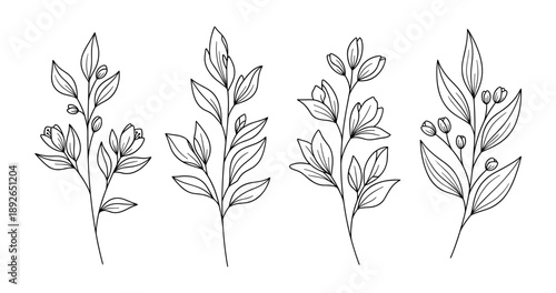 (Adobe Illustrator Artwork)