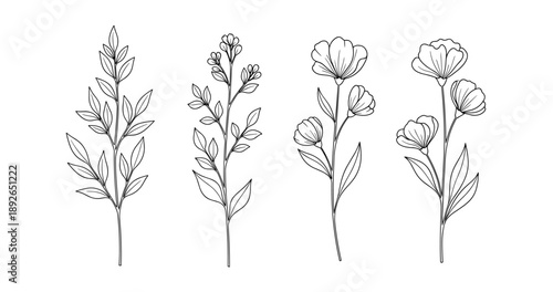 (Adobe Illustrator Artwork)