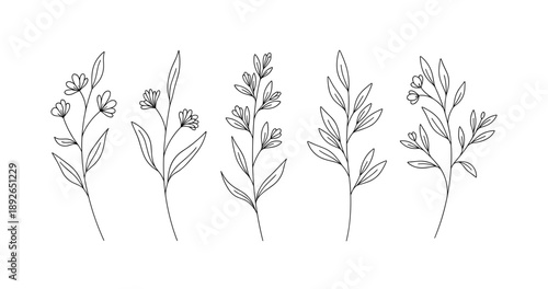 (Adobe Illustrator Artwork)