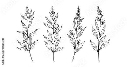 (Adobe Illustrator Artwork)