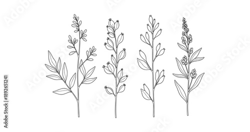 (Adobe Illustrator Artwork)