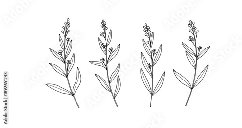 (Adobe Illustrator Artwork)