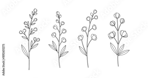 (Adobe Illustrator Artwork)