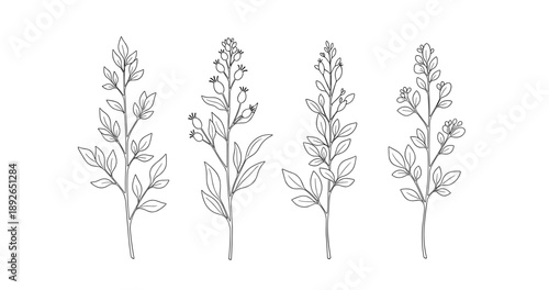 (Adobe Illustrator Artwork)