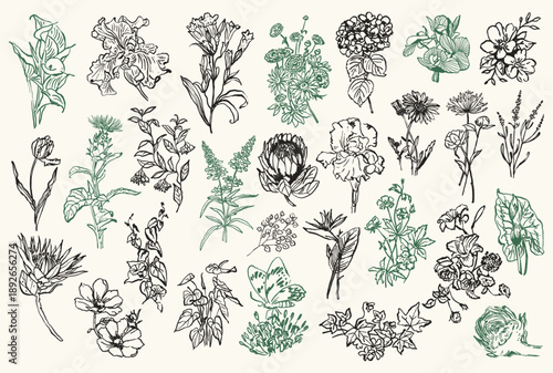 Abstract hand drawn flowers and leafs vector illustration collection. Artwork for greeting cards, posters, postcards, stationary, brand identity.	