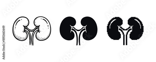 Artistic kidney illustrations: vintage, minimalist, pixel art styles side by side