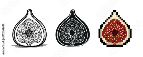Artistic fig illustration: hand-drawn, silhouette, pixelated styles