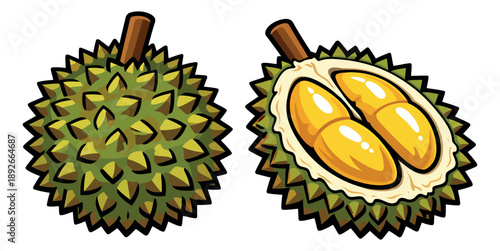 Cartoon durian set featuring a whole and a split fruit for tropical food concepts