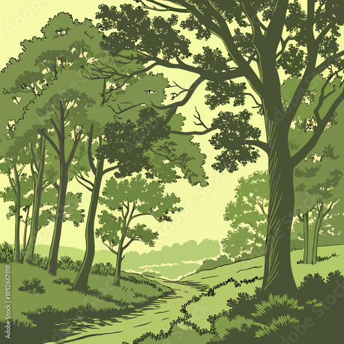 Dense Summer Forest with Full Leafy Trees Vector