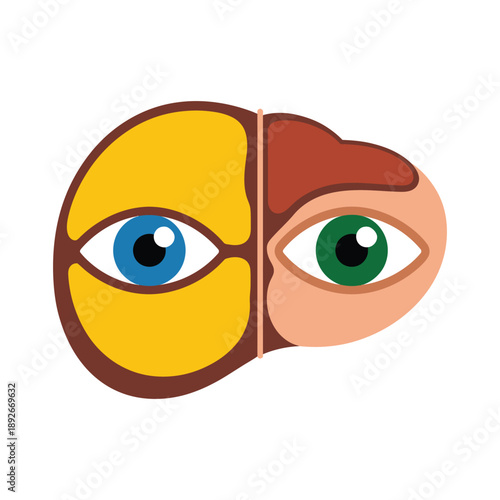 A cartoon illustration of a brain with two eyes, one blue and one green, symbolizing duality and contrast.