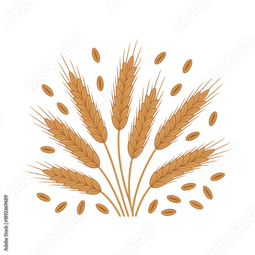 An illustration of golden wheat stalks and grains on a white background