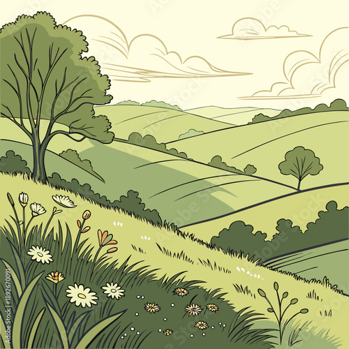 Sunlit Hillside Meadow Landscape in Summer