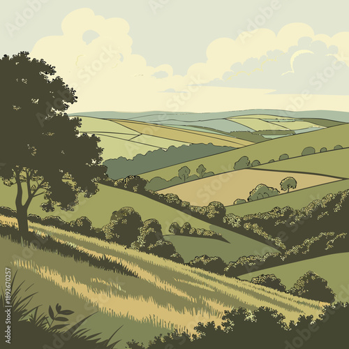 Layered Hill Contours in Summer, Gentle Landscape