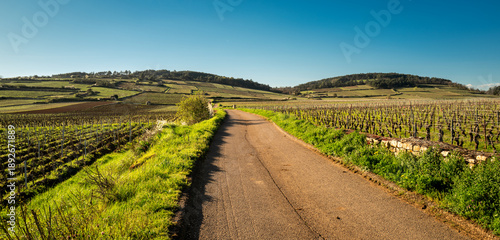 Vineyard road in the Côte de Beaune