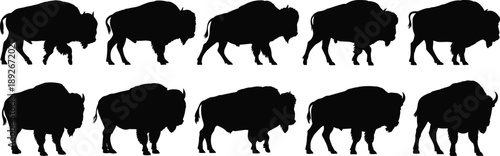 Collection of black bison silhouettes in various poses and perspectives buffalo silhouette