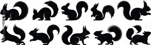 Collection of black squirrel silhouettes in various poses and actions animal wildlife