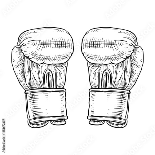 boxing gloves vector hand drawn illustration