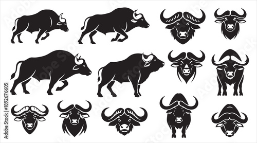 Set of African Buffalo Silhouettes and Bull Head Icons; Large Collection of Wild Cape Buffalo in Charging and Standing Poses with Tribal Mascot Logos Isolated on White Background
