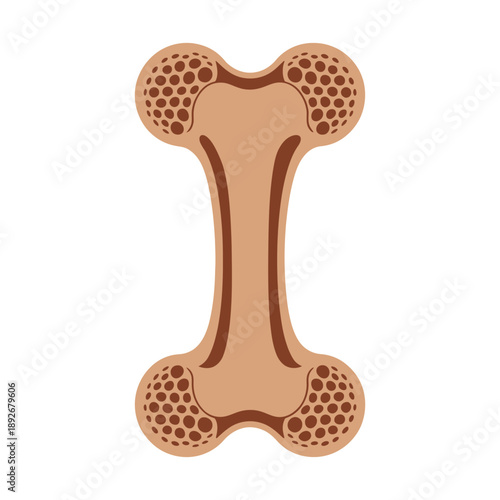 A dog chew toy in the shape of a bone with a honeycomb texture on a white background