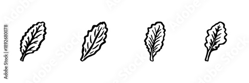 Four Kale Leaves In Hand Drawn Style Set. Organic Vegetable, Healthy Eating, Nutrition Doodle Sketch Collection. Leafy Greens Illustration. Isolated Vector Illustration