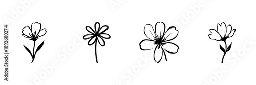 Hand Drawn Floral Illustrations Set. Botanical Doodle Sketch Collection. Simple Flower Designs For Nature-Themed Projects. Isolated Vector Illustration