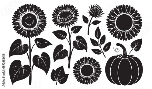 Black vector sunflower flowers and pumpkin icons, rustic fall botanical illustration