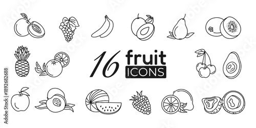 16 Fruit Line Icons Set Apple Banana Grape Watermelon Peach Plum Berry Minimal Outline Vector Collection for Food Healthy Organic Design
