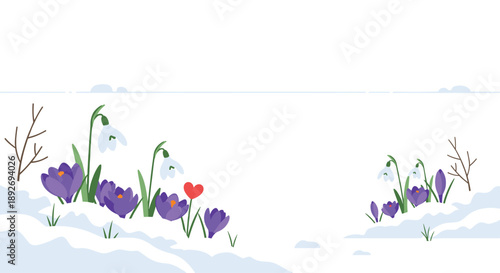 Spring Flowers Crocuses and Snowdrops Growing Through Melting Snow with a Red Heart Symbolizing Nature's Rebirth
