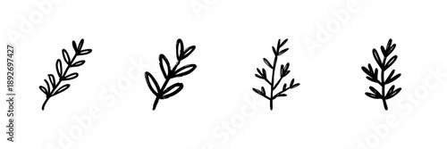 Herb Sprigs Line Icon Set In Doodle Style. Botanical Elements And Nature-Inspired Design Outline Sketch Collection. Hand Drawn Isolated Vector Illustration