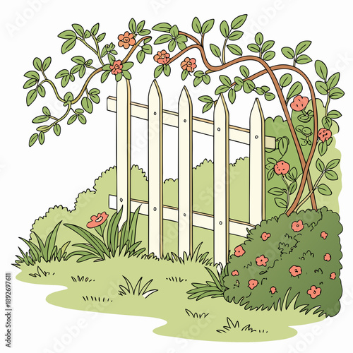 Garden Fence Covered with Climbing Vines: Green Growth