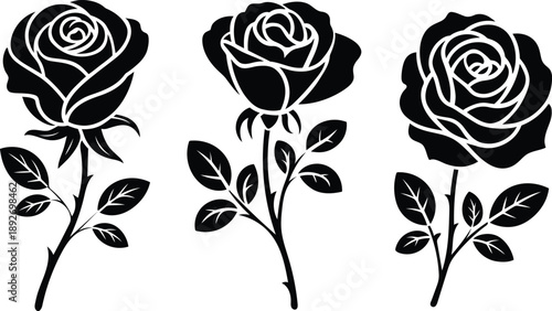 Three stylized black rose illustrations with leaves and thorns on a transparent background