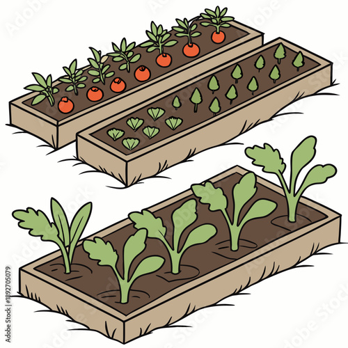 Vegetable Garden Beds with Young Plants - Healthy Growth