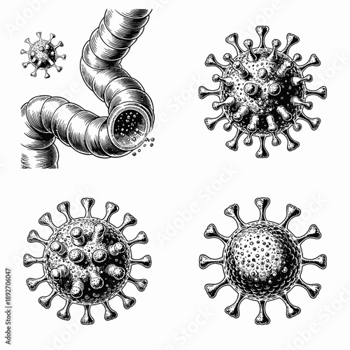 Black and white illustrations of various virus particles and airway tubes in medical style