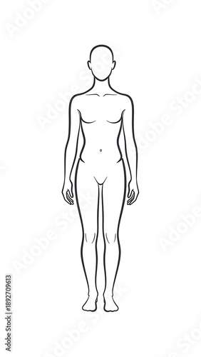 Human body outline front view drawing.