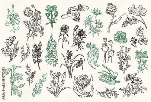 Abstract hand drawn flowers and leafs vector illustration collection. Artwork for greeting cards, posters, postcards, stationary, brand identity.	