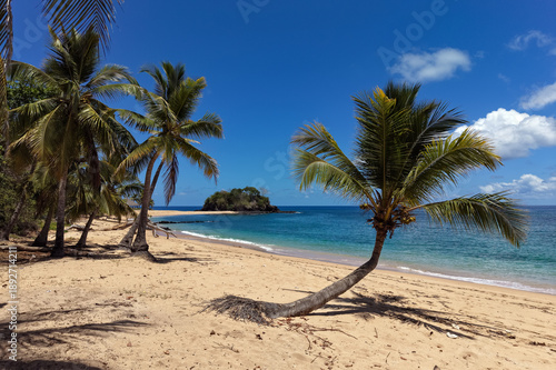 Footage of Sakatia Island – Beach, Palms, and Crystal Waters. Madagascar