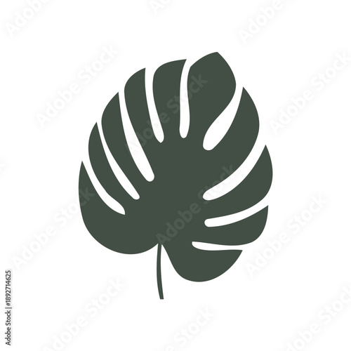 Minimalist Monstera Deliciosa Leaf Illustration on White Background
