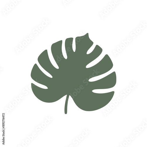Stylized Monstera Leaf Silhouette Illustration on White Background